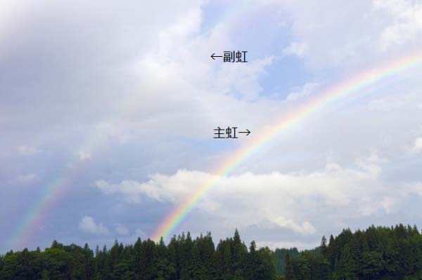 雨上がりに虹が見えるのはなぜ 虹を見るための条件とは メゾンde東海の住人 東海光学株式会社